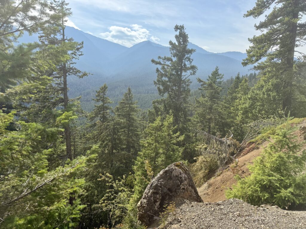 Hurricane Ridge