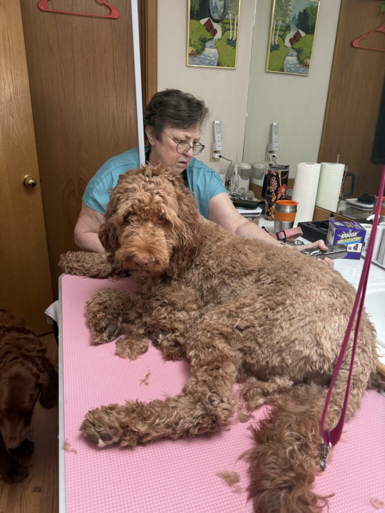 Grooming at home