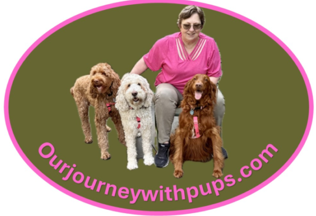 Our Journey with Pups